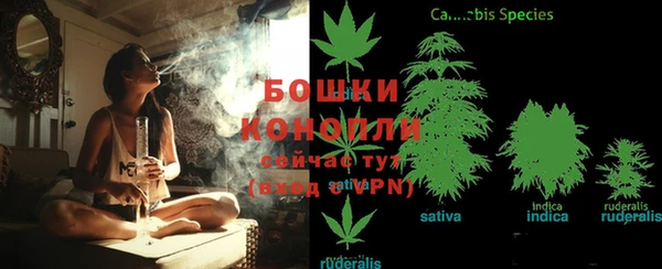 мяу мяу мука Верхний Тагил