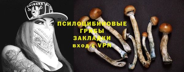 мяу мяу мука Верхний Тагил