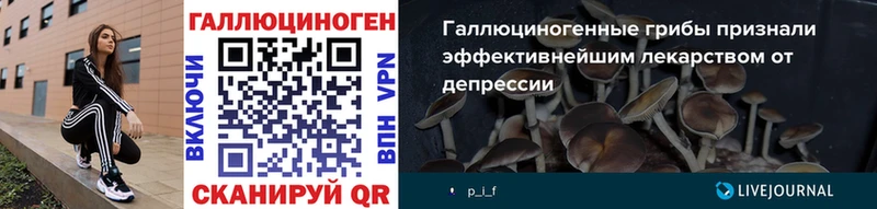 где продают наркотики  Чебоксары  Галлюциногенные грибы Magic Shrooms 